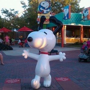 Meet your Posher, Dena